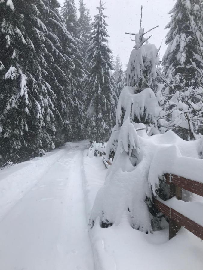 Cottage Karinka Буковель Экстерьер фото