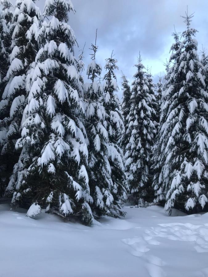 Cottage Karinka Буковель Экстерьер фото
