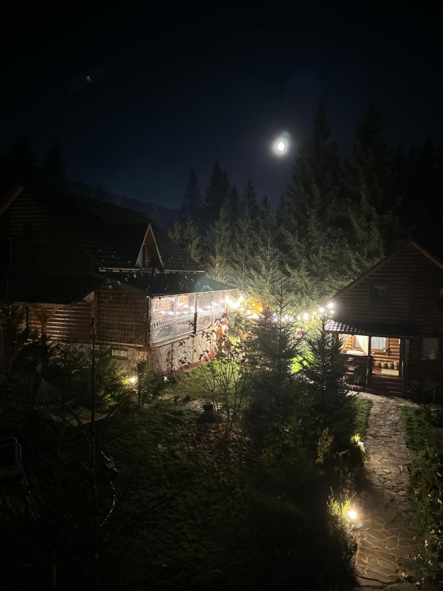 Cottage Karinka Буковель Экстерьер фото